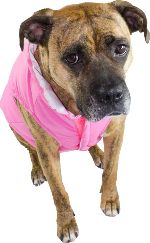 Piumino per cani reversibile Puffer Pink in Cappotti e giubbotti 101 Market - Poggibonsi, commercioVirtuoso.it