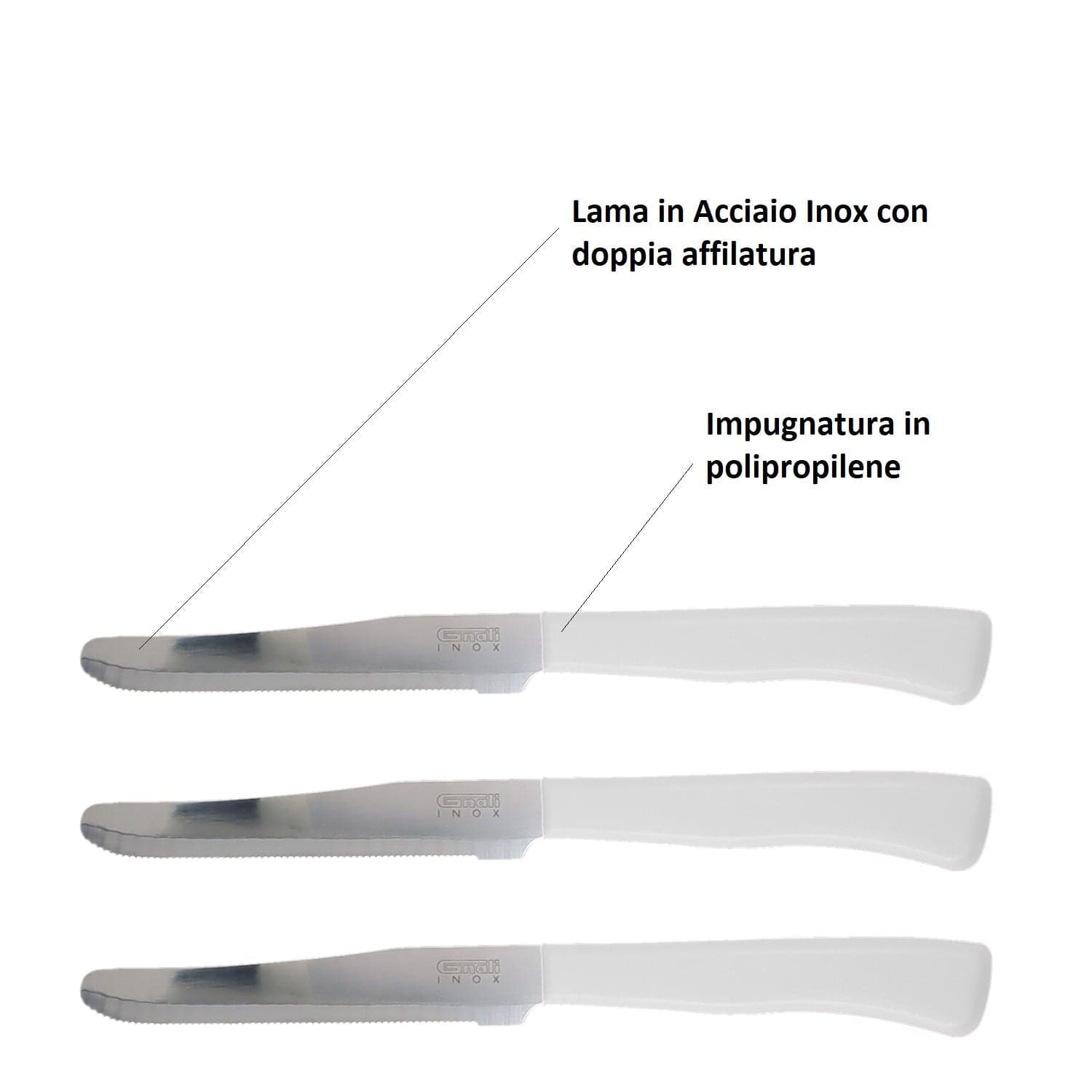 Coltelli da Tavola 24pz Manico in Polipropilene Doppia Affilatura 22cm Bianco in Coltelli da bistecca Danyx - Casoria, commercioVirtuoso.it