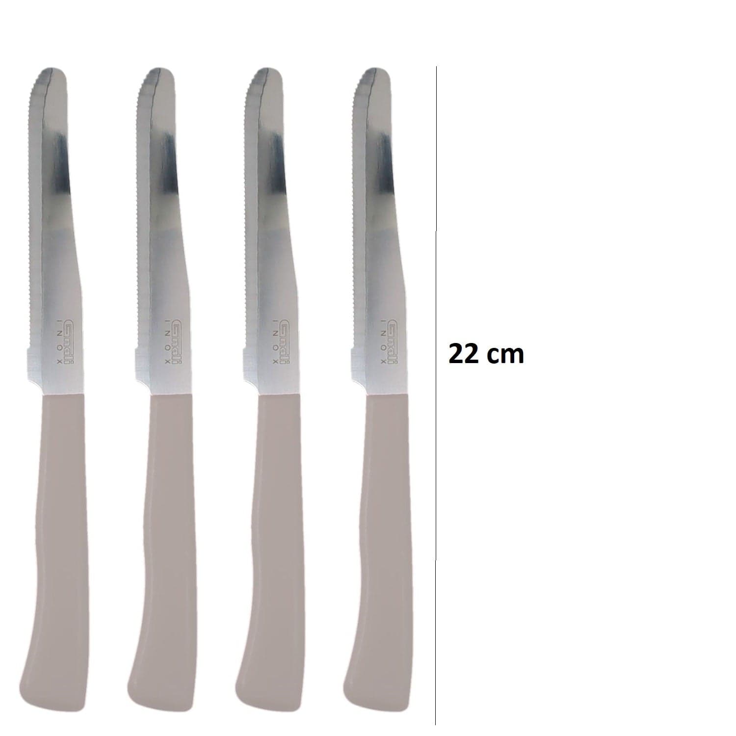Coltelli da Tavola 24pz Manico in Polipropilene Doppia Affilatura 22cm Marrone in Coltelli da tavola Danyx - Casoria, commercioVirtuoso.it