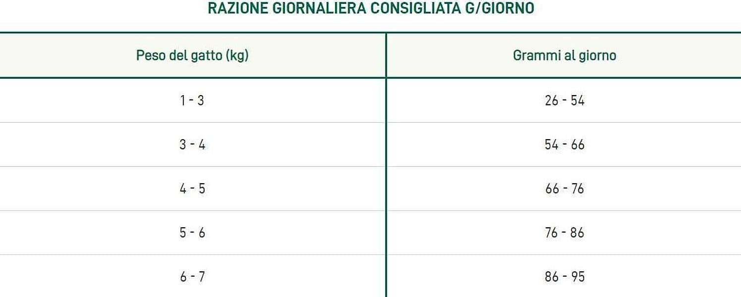 Oasy Lifestage Adult Agnello per Gatti in Secco 101 Market - Poggibonsi, commercioVirtuoso.it