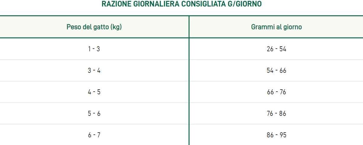 Oasy Lifestage Adult Agnello per Gatti in Secco 101 Market - Poggibonsi, commercioVirtuoso.it
