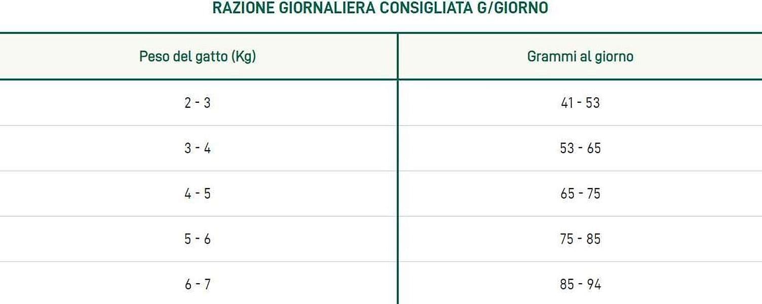 Oasy Lifestage Adult Maiale per Gatti in Secco 101 Market - Poggibonsi, commercioVirtuoso.it