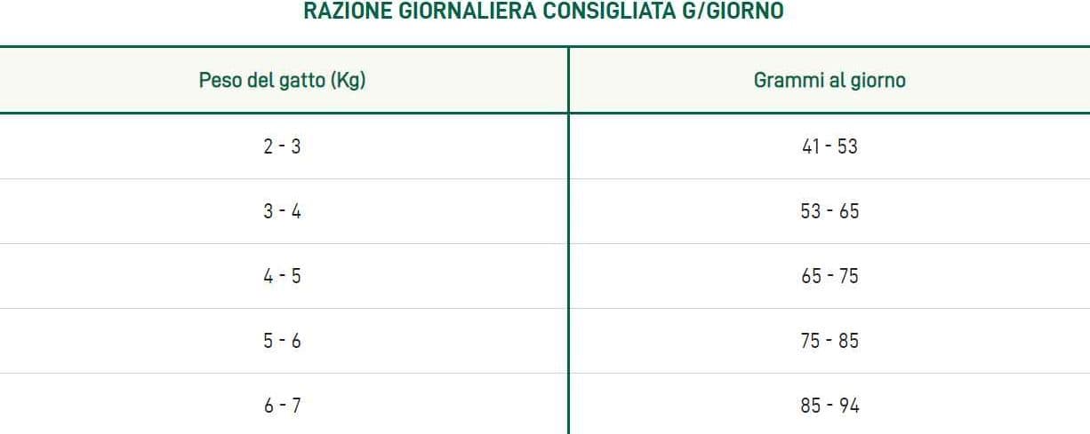 Oasy Lifestage Adult Maiale per Gatti in Secco 101 Market - Poggibonsi, commercioVirtuoso.it
