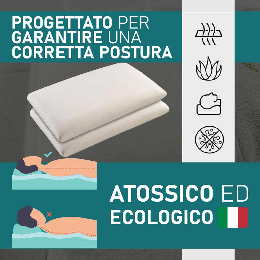 Coppia Cuscino Sfoderabile Aloe Vera e Memory 70x40 H 15cm con Sacca da Viaggio in Cuscini da lettura Danyx - Casoria, commercioVirtuoso.it