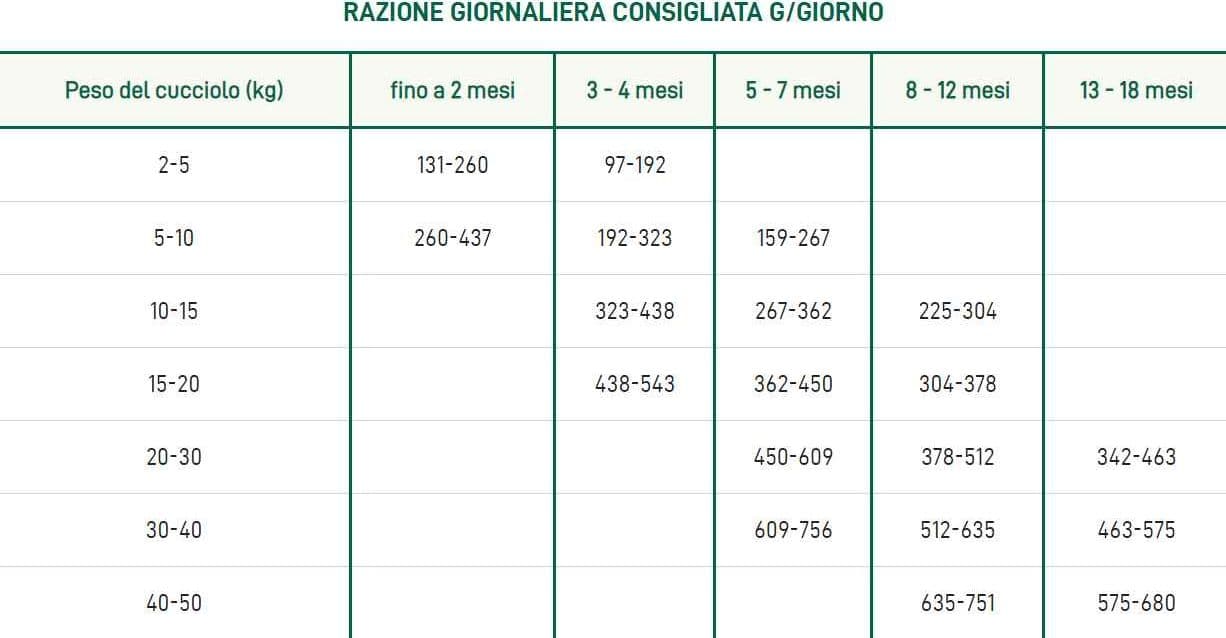 Oasy One Animal Protein Puppy e Junior Medium/Large Agnello per Cani in Secco 101 Market - Poggibonsi, commercioVirtuoso.it