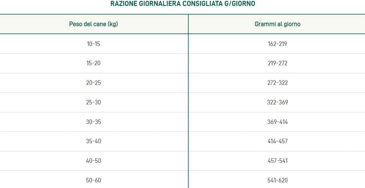 Oasy One Animal Protein Adult Medium/Large Agnello per Cani in Secco 101 Market - Poggibonsi, commercioVirtuoso.it