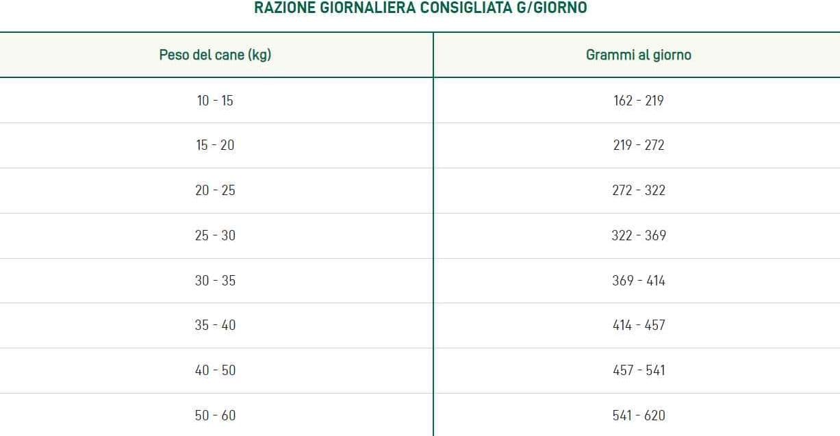 Oasy One Animal Protein Adult Medium/Large Salmone per Cani in Secco 101 Market - Poggibonsi, commercioVirtuoso.it