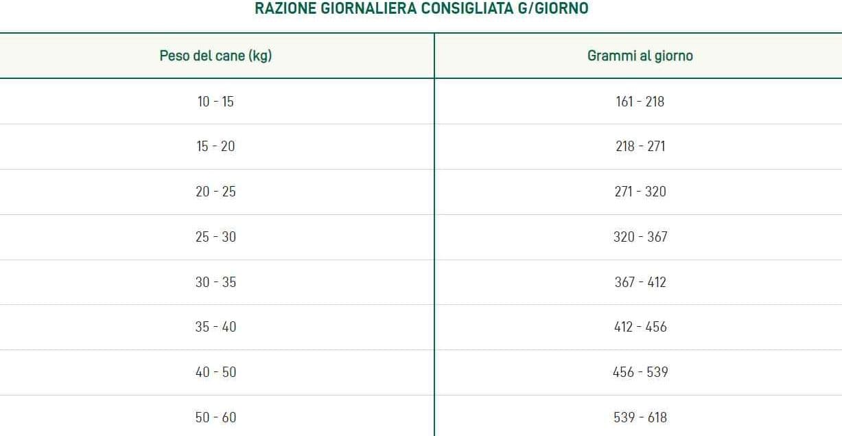 Oasy One Animal Protein Adult Medium/Large Coniglio per Cani in Secco 101 Market - Poggibonsi, commercioVirtuoso.it