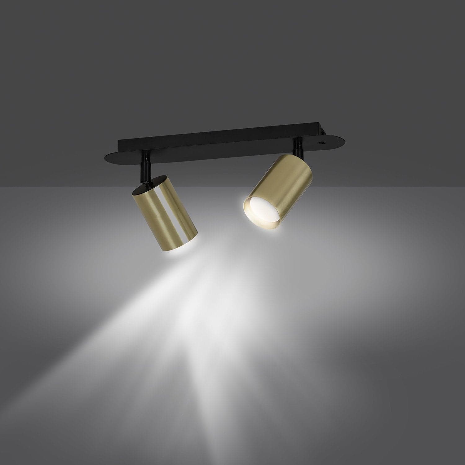 Plafoniera Spot Faretti Regolabili 2 Luci Zen A Cilindro In Acciaio Nero E Oro in Plafoniere LuceArt - Montecorvino Pugliano, commercioVirtuoso.it