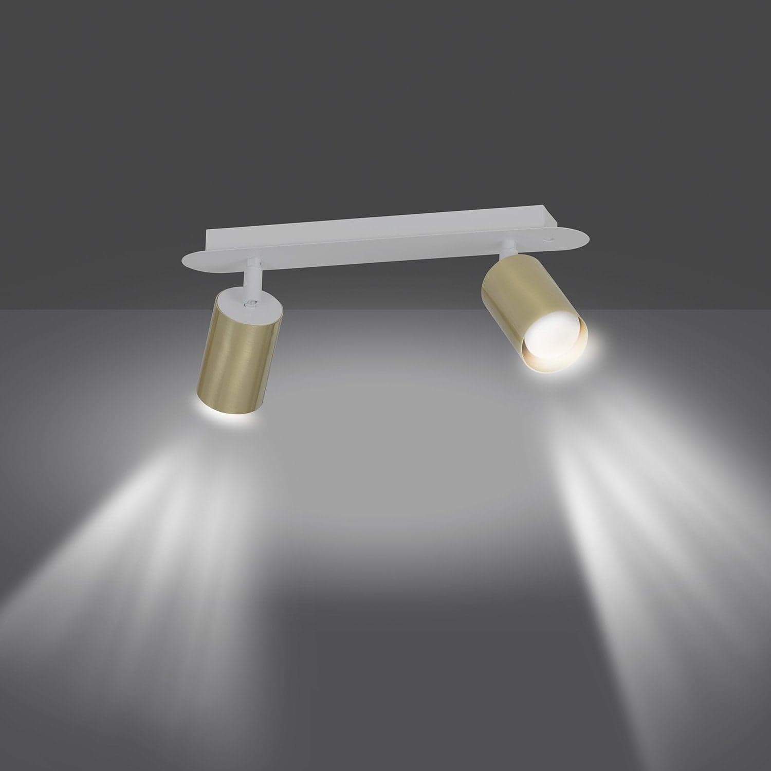 Plafoniera Spot Faretti Regolabili 2 Luci Zen A Cilindro In Acciaio Bianco E Oro in Faretti da soffitto LuceArt - Montecorvino Pugliano, commercioVirtuoso.it