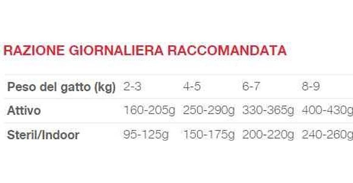 Natural Code Bustina C4 Salmone e Anatra per Gatti Adulti 70gr in Secco 101 Market - Poggibonsi, commercioVirtuoso.it