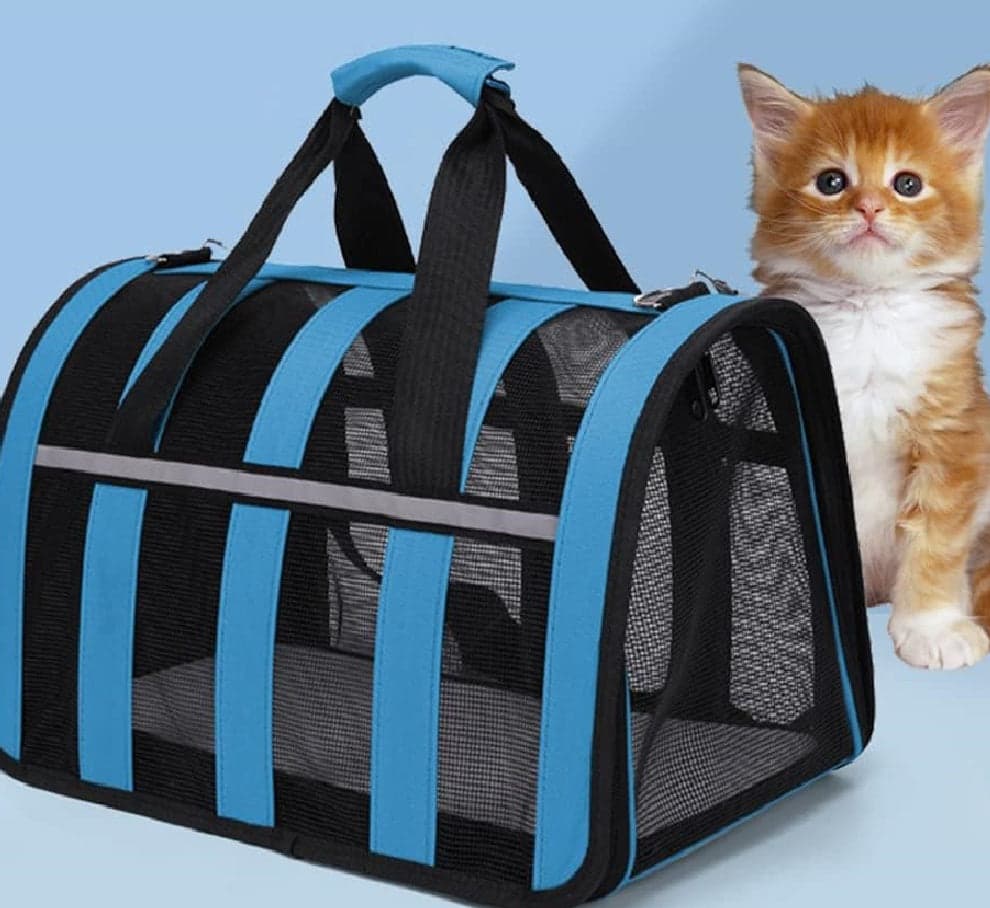 Trasportino Animali Idrorepellente Traspirante Maniglia Tracolla 23x35 H22cm Grigio in Borse Danyx - Casoria, commercioVirtuoso.it