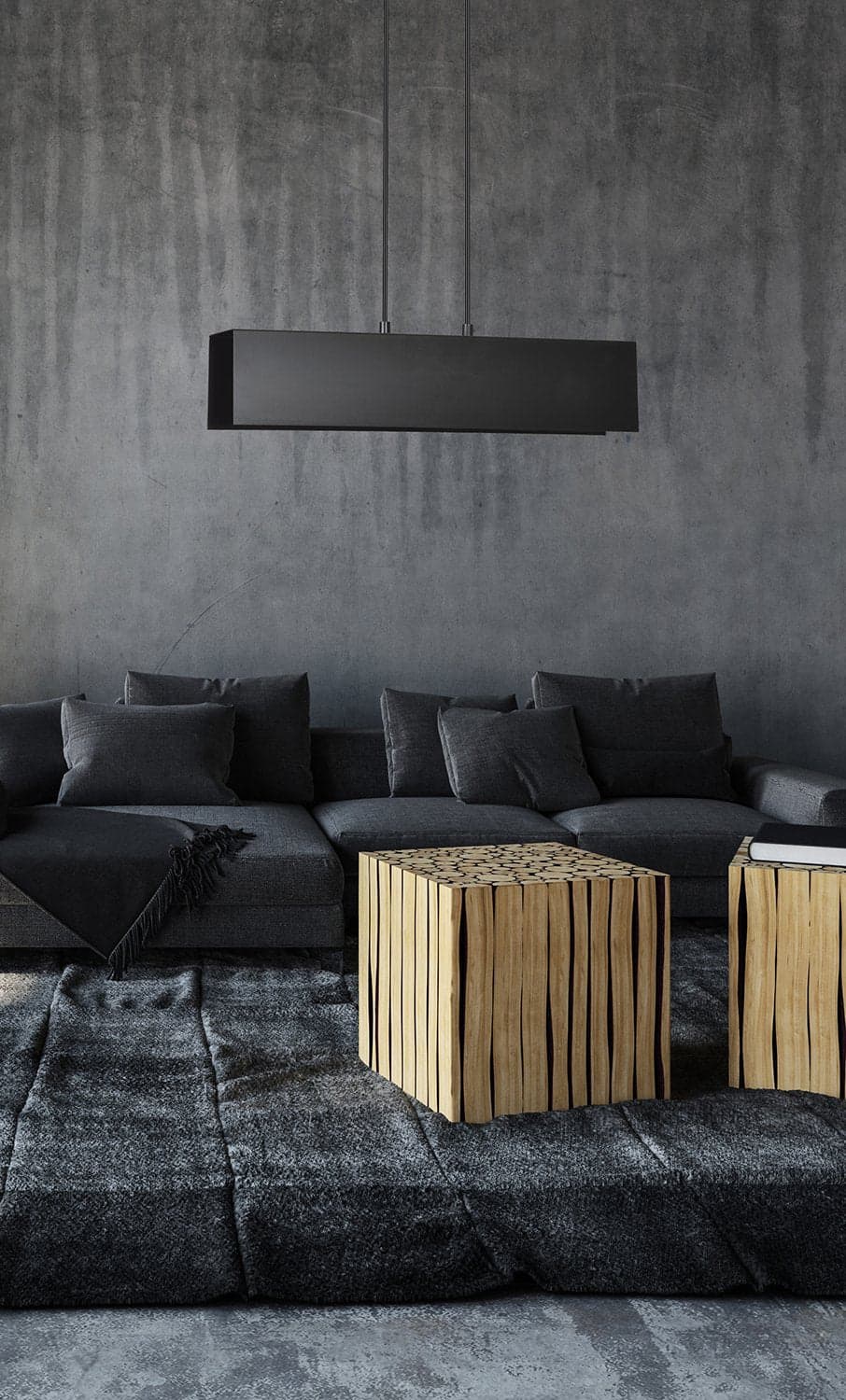 Lampadario Moderno 2 Luci Gentor In Acciaio Nero in Lampade a sospensione LuceArt - Montecorvino Pugliano, commercioVirtuoso.it