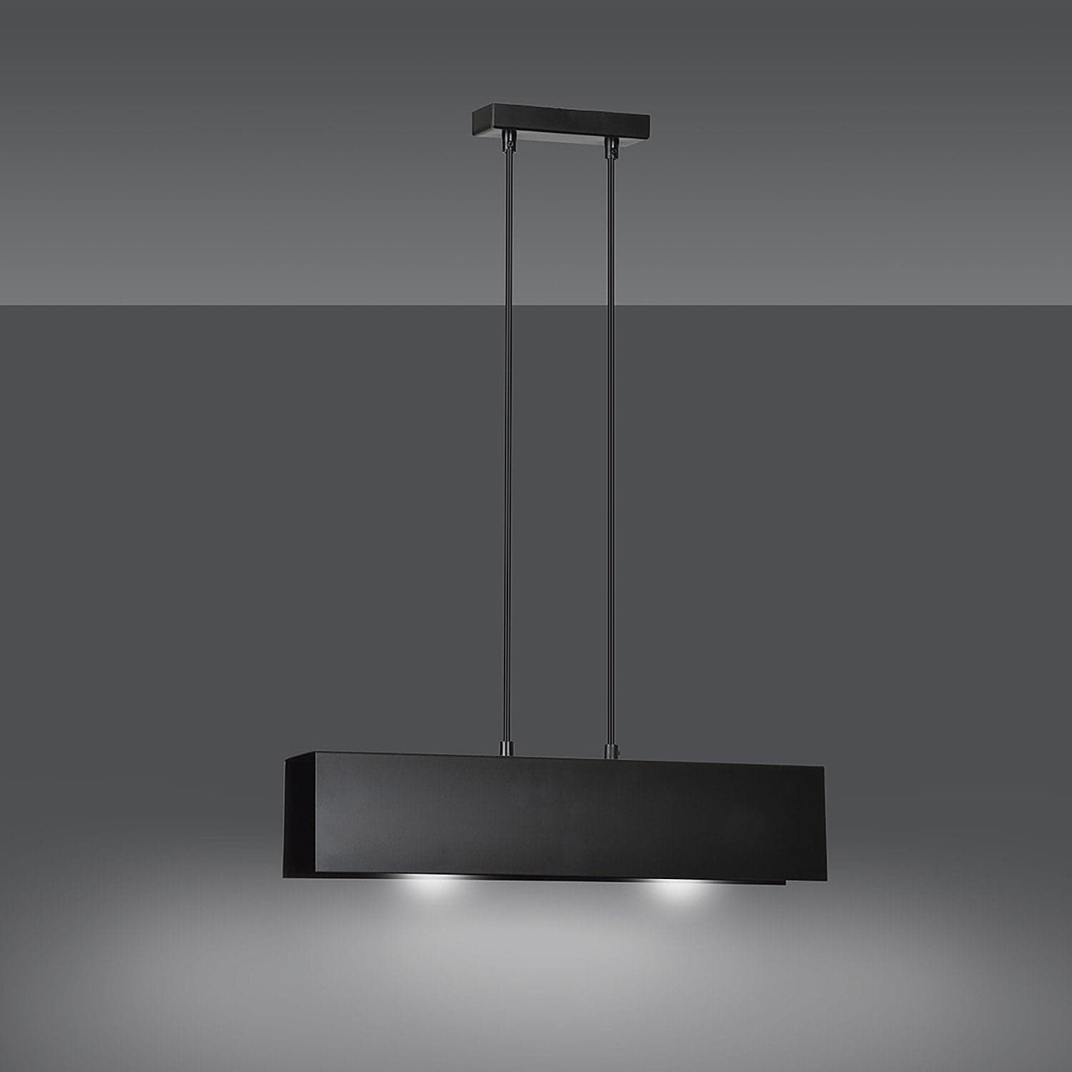 Lampadario Moderno 2 Luci Gentor In Acciaio Nero in Lampade a sospensione LuceArt - Montecorvino Pugliano, commercioVirtuoso.it