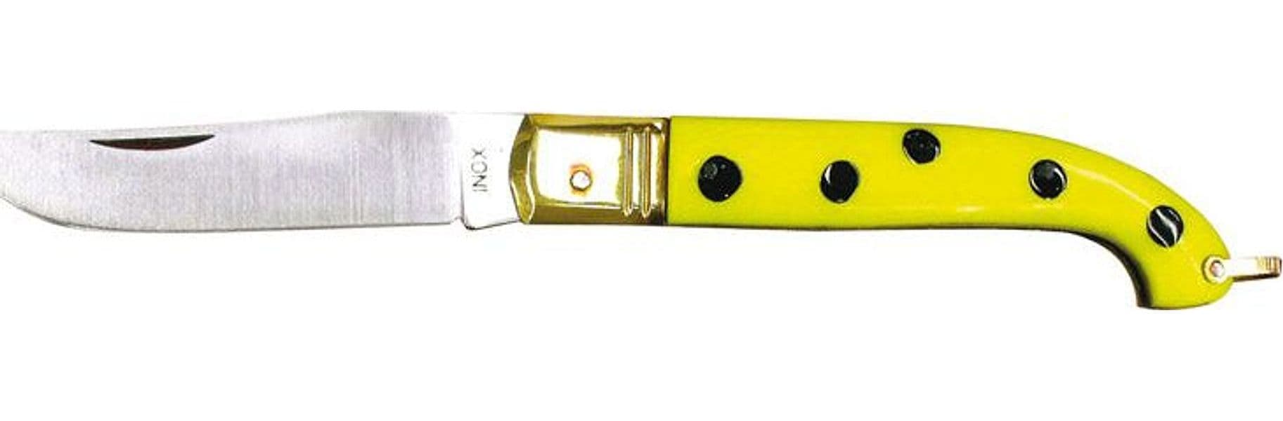 Colore Tello da Tasca Zuavo Cm 17 6 Pezzi