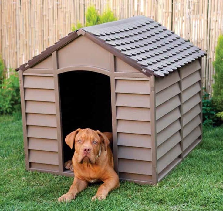 Cuccia per Cani Cm 72 x 71 5X68 H Colore Marrone