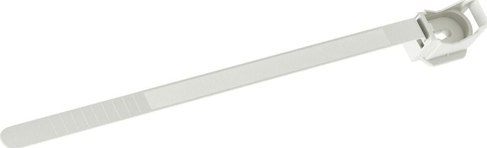 Fascetta Fissatubo Ø Mm 8 32 80 Pezzi Fischer