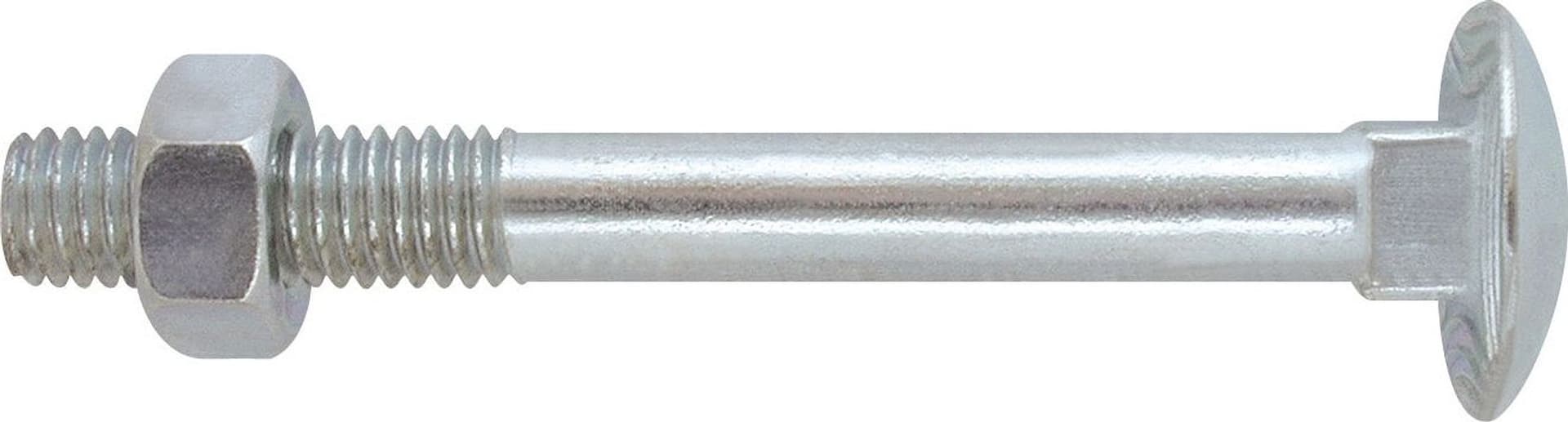 Bullone in Acciaio Zincato Ttde M 10 x 80 mm Friulsider