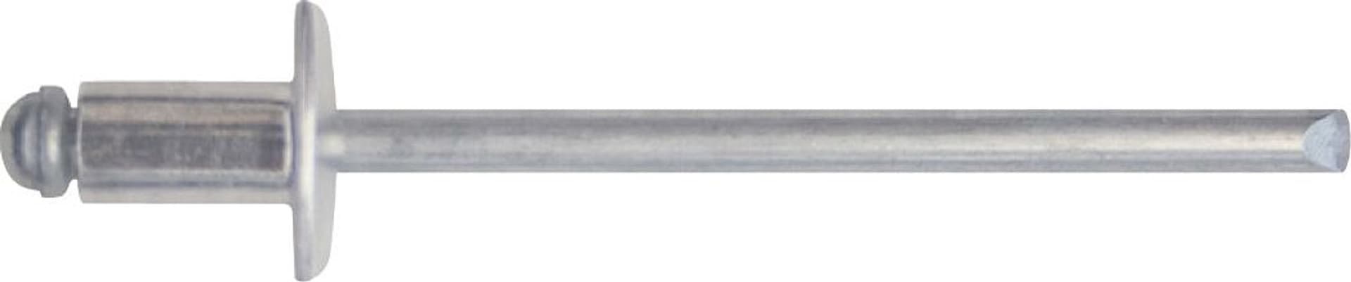 Rivetto a Strappo in Alluminio 25 Pezzi. Mm 6 0 x 12 10.00 Confezioni