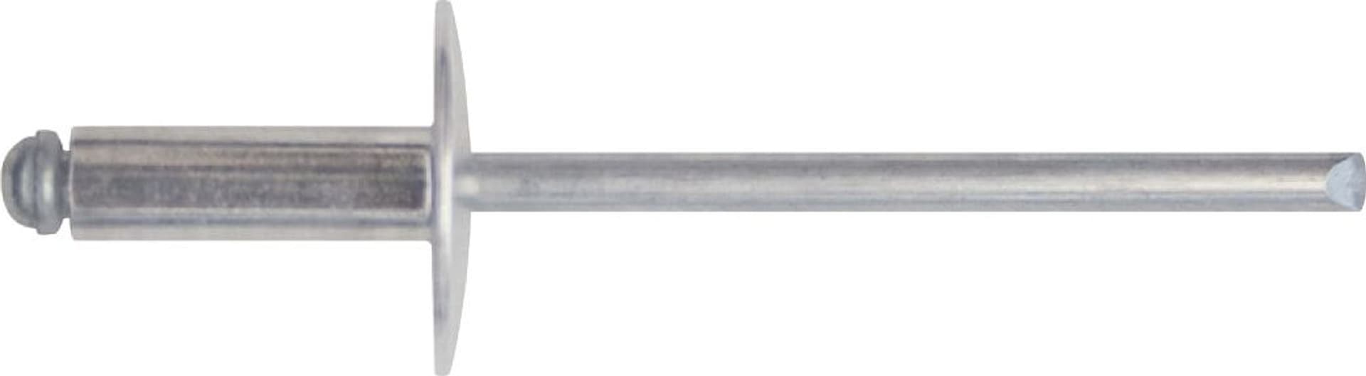 Rivetto a Strappo in Alluminio a Testa Larga 50 Pezzi. Mm 4 8 x 12 10.00