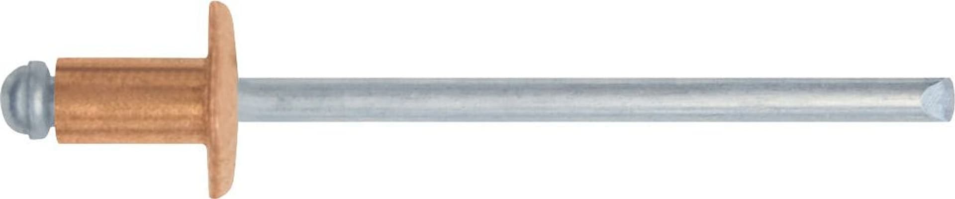 Rivetto a Strappo in Rame 100 Pezzi. Mm 3 4 x 9 10.00 Confezioni Friulsider