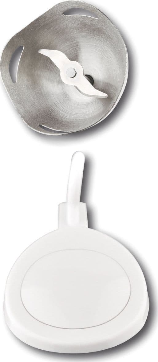 Frullatore Ad Immersione Inox 450 W in Frullatori ad immersione e minipimer BricoGo - Marano di Napoli, commercioVirtuoso.it