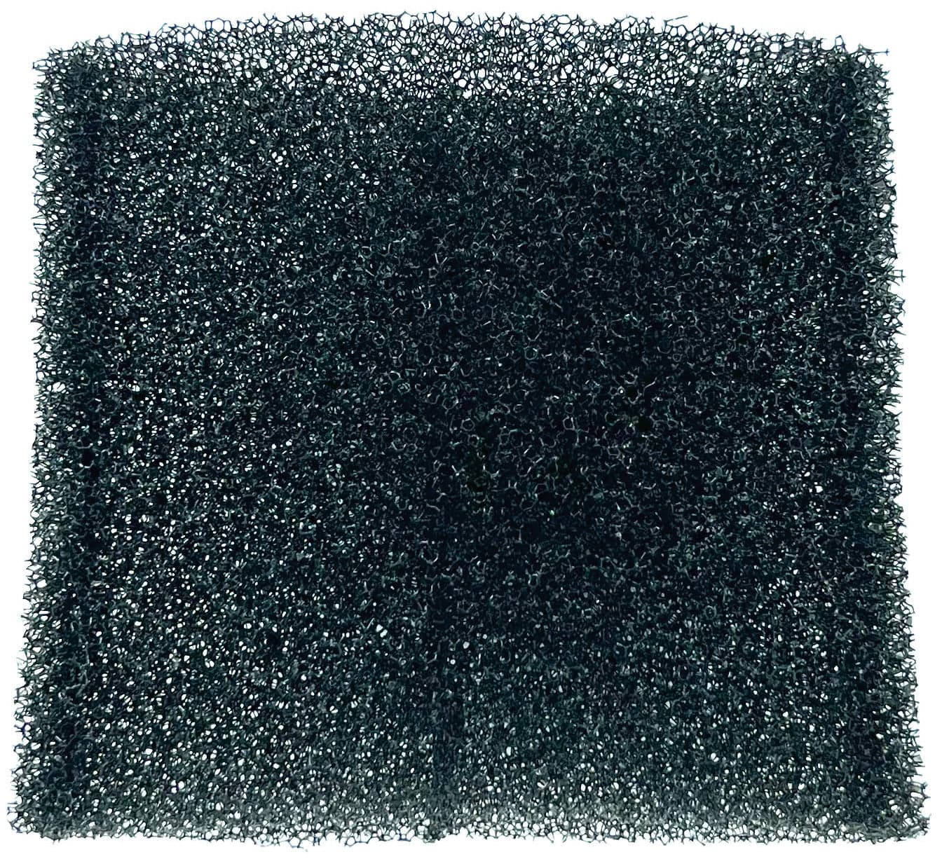 Globex Filtro in Spugna per Bidone Aspira Solidi Liquidi Gx 20SP Plus Cod