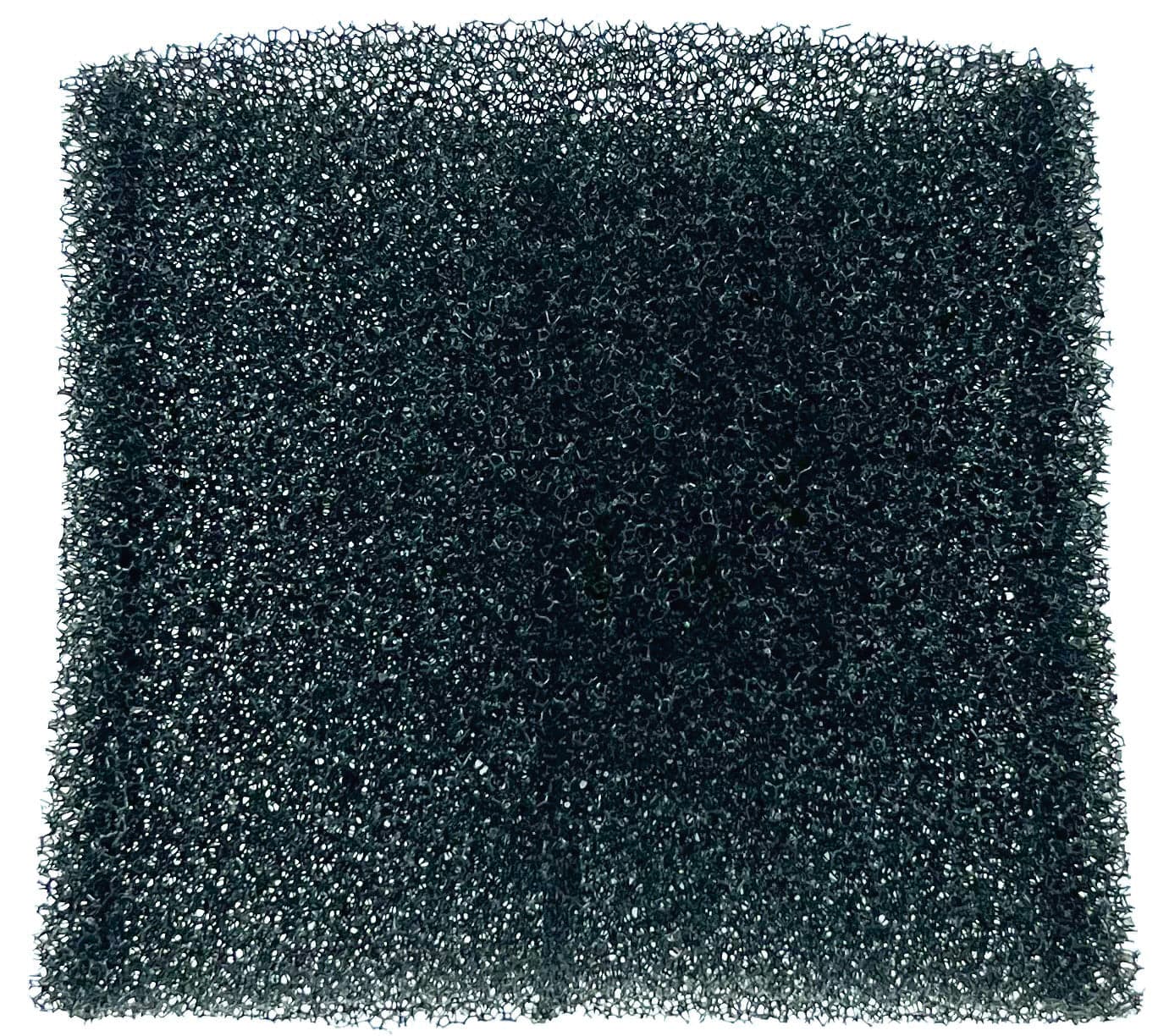 Globex Filtro in Spugna per Bidone Aspira Solidi Liquidi Gx 30CP Gx 30