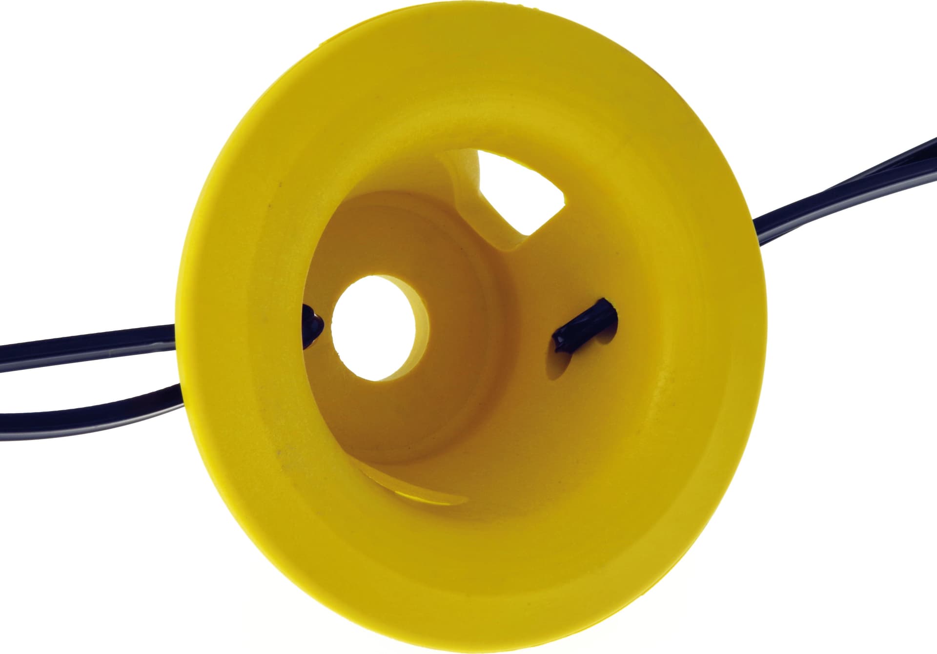 Globex Testina Per Decespugliatore Vittoria in Accessori per decespugliatori BricoGo - Marano di Napoli, commercioVirtuoso.it
