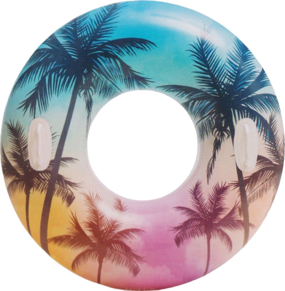 Intex Ciambella Summer Dreams Ø Cm. 97 in Salvagenti BricoGo - Marano di Napoli, commercioVirtuoso.it