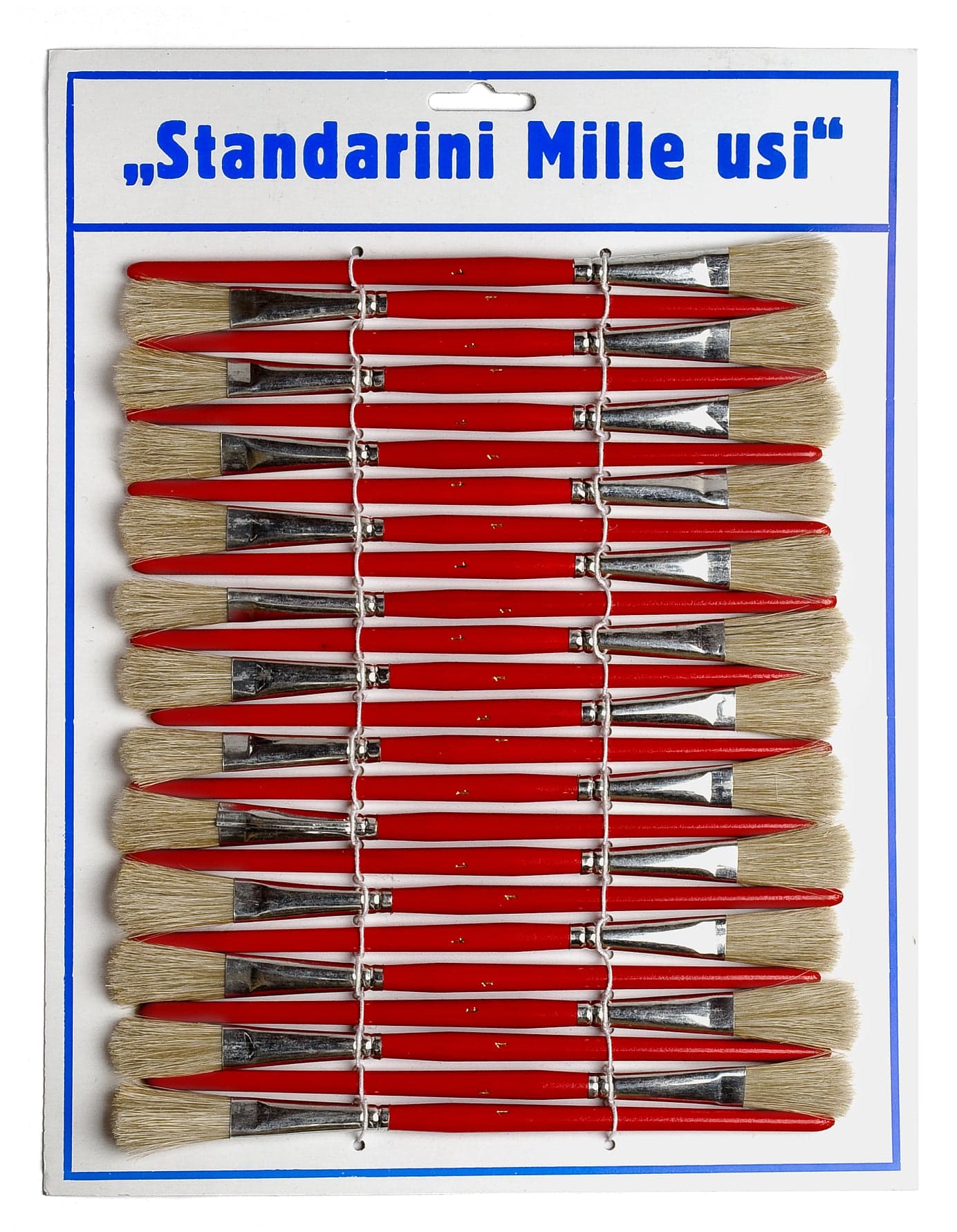 Pennelli Standarini Mille Usi 24 Pezzi