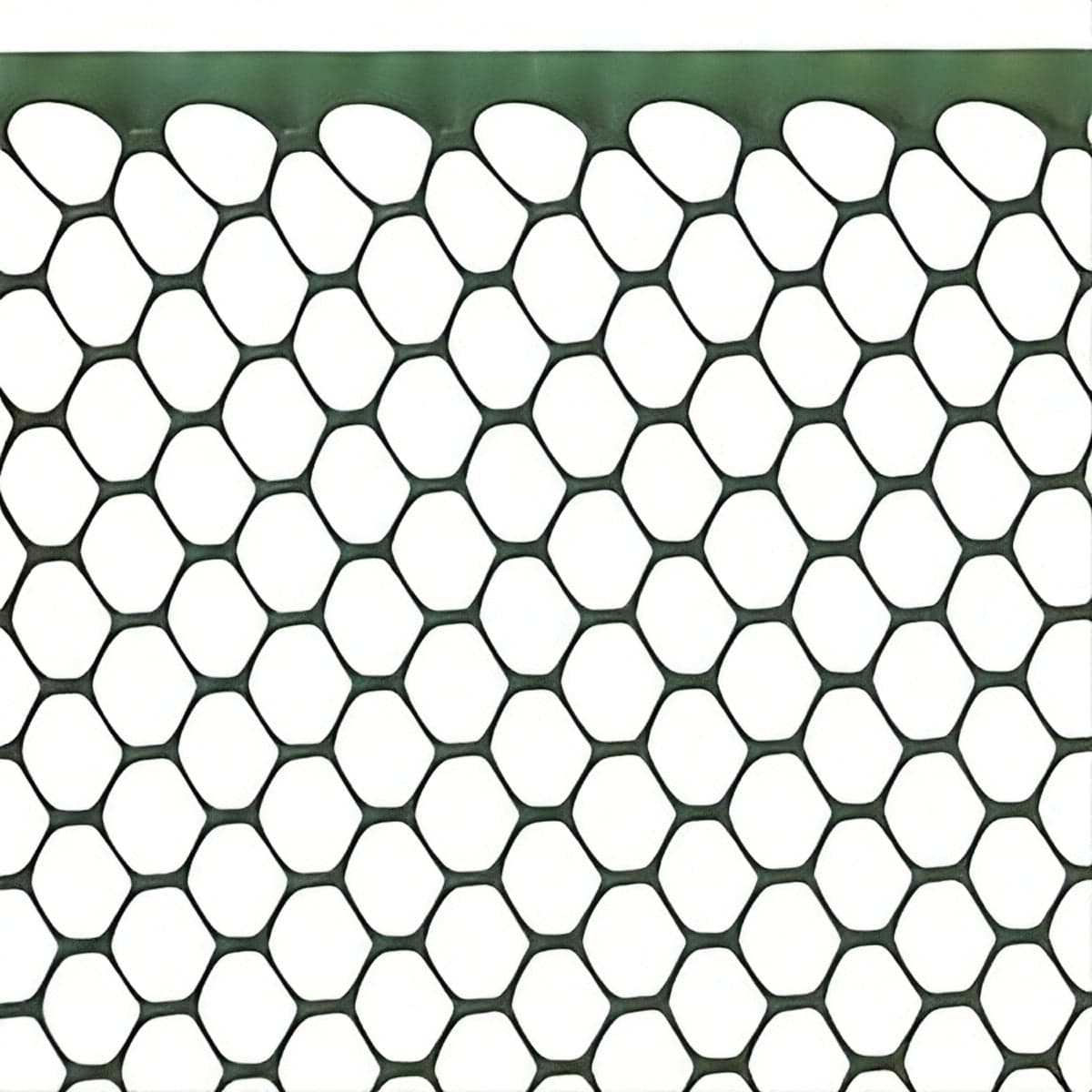 RETE ESAGONALE ESANET 20x15 VERDE rotolo mt.50 H. cm. 80