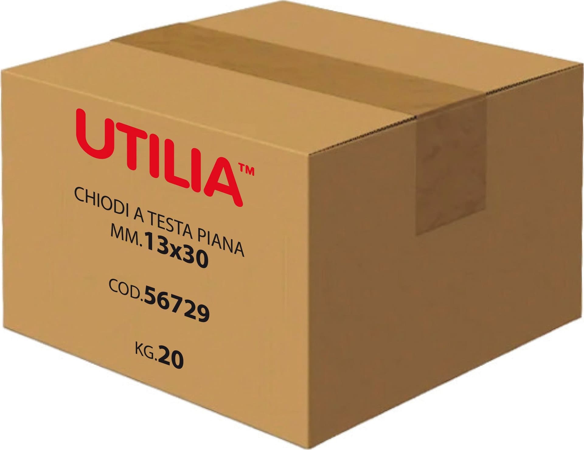 Utilia Chiodo A Testa Piana Mis. 10X25 Mm. 5.00 Kg in Chiodi BricoGo - Marano di Napoli, commercioVirtuoso.it