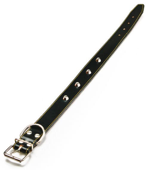 Utilia Pet Collare In Cuoio Foderato Con Borchie Cm. 61X3,5 Col. Assortiti