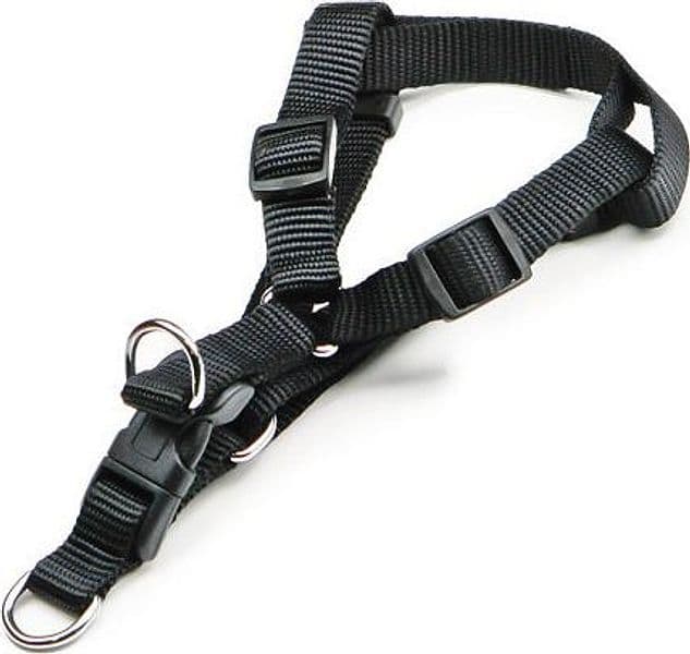 Pettorale in Nylon Regolabile Fascia Cm 1 5 Colore Assortiti Utilia Pet