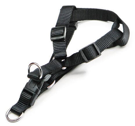 Pettorale in Nylon Regolabile Fascia Cm 1 5 Colore Assortiti Utilia Pet