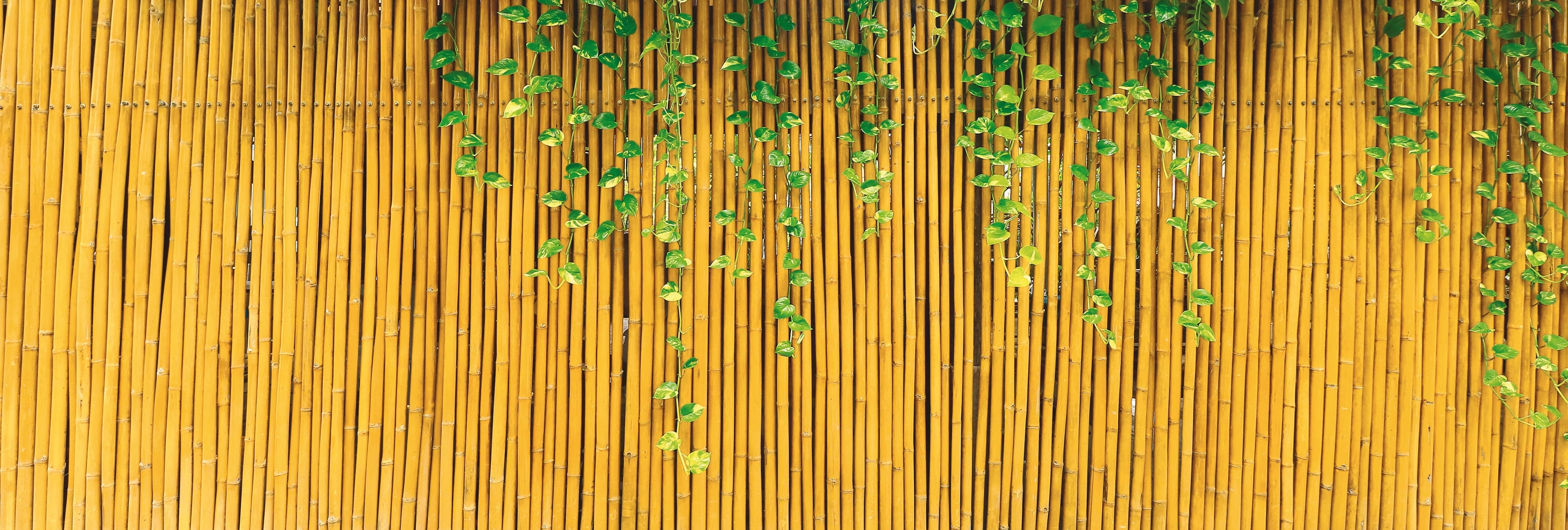 Utilia Top Quality Arelle In Canna Di Bambù Ø Mm 15 Cm. 150X300 in Recinzioni decorative BricoGo - Marano di Napoli, commercioVirtuoso.it