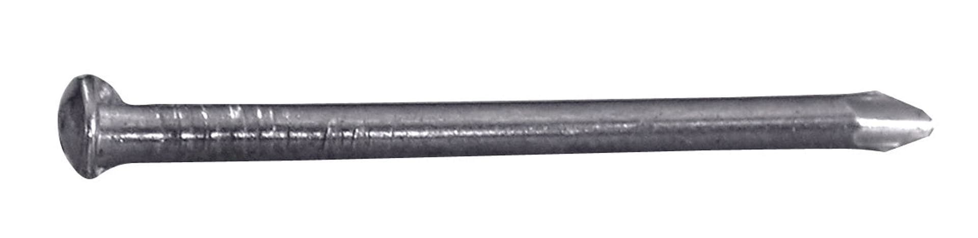 Chiodo in Acciaio Testa Bombata Mm 2 x 20