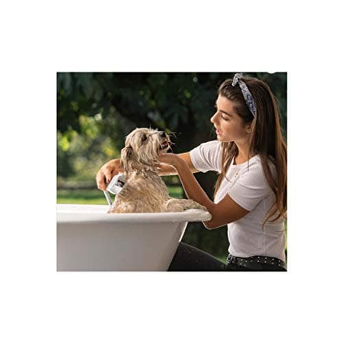 Doccetta Spazzola Per Lavaggio Toelettatura Animali Domestici Mafalda Damast in Spazzole BricoGo - Marano di Napoli, commercioVirtuoso.it