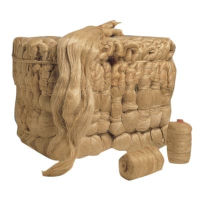 Canapa Extra In Balle- 25 Kg- Facot- Kg 25 in Semi di canapa BricoGo - Marano di Napoli, commercioVirtuoso.it