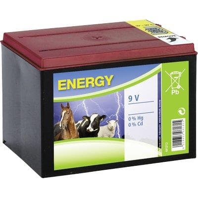 Batteria Elettrorecinzione Kerbl Volt 9 Ah 55 A Secco