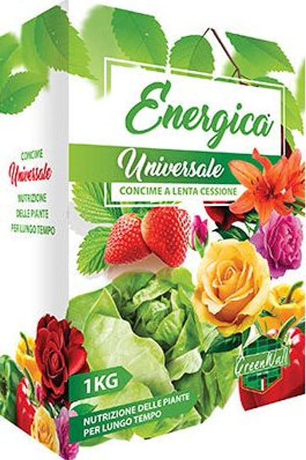 Concime Granulare Lenta Cessione Univers Energica 1 kg 3 Pezzi