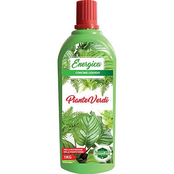 Concime Liquido Piante Verdi Energica 1 kg 6 Pezzi