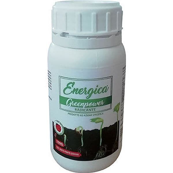 Radicante Polvere Energica 100 g 12 Pezzi