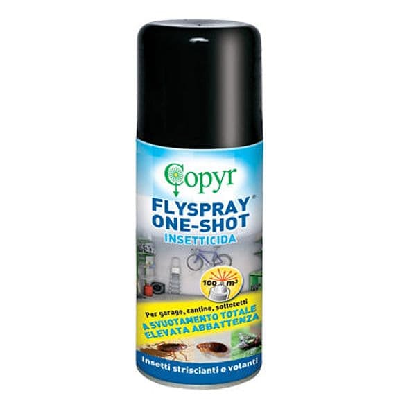 Insetticida Volanti e Striscianti Flyspray Copyr 150 ml 5 Pezzi