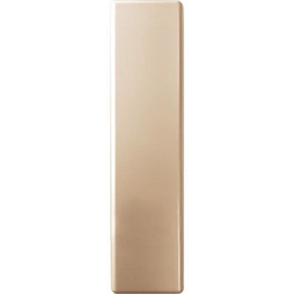 Placca Avvolgitore Cieca Universale ABS Oro 65 x 250 mm 5 Pezzi