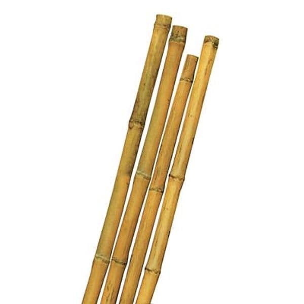 Tutore Canna Bamboo Mm Max 24 H 180 cm 50 Pezzi