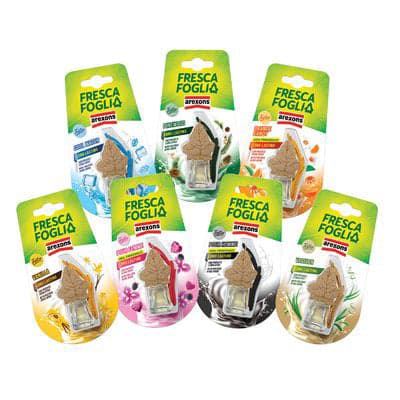 Profumatore Auto Fresca Foglia Arexons - 12 Pezzi