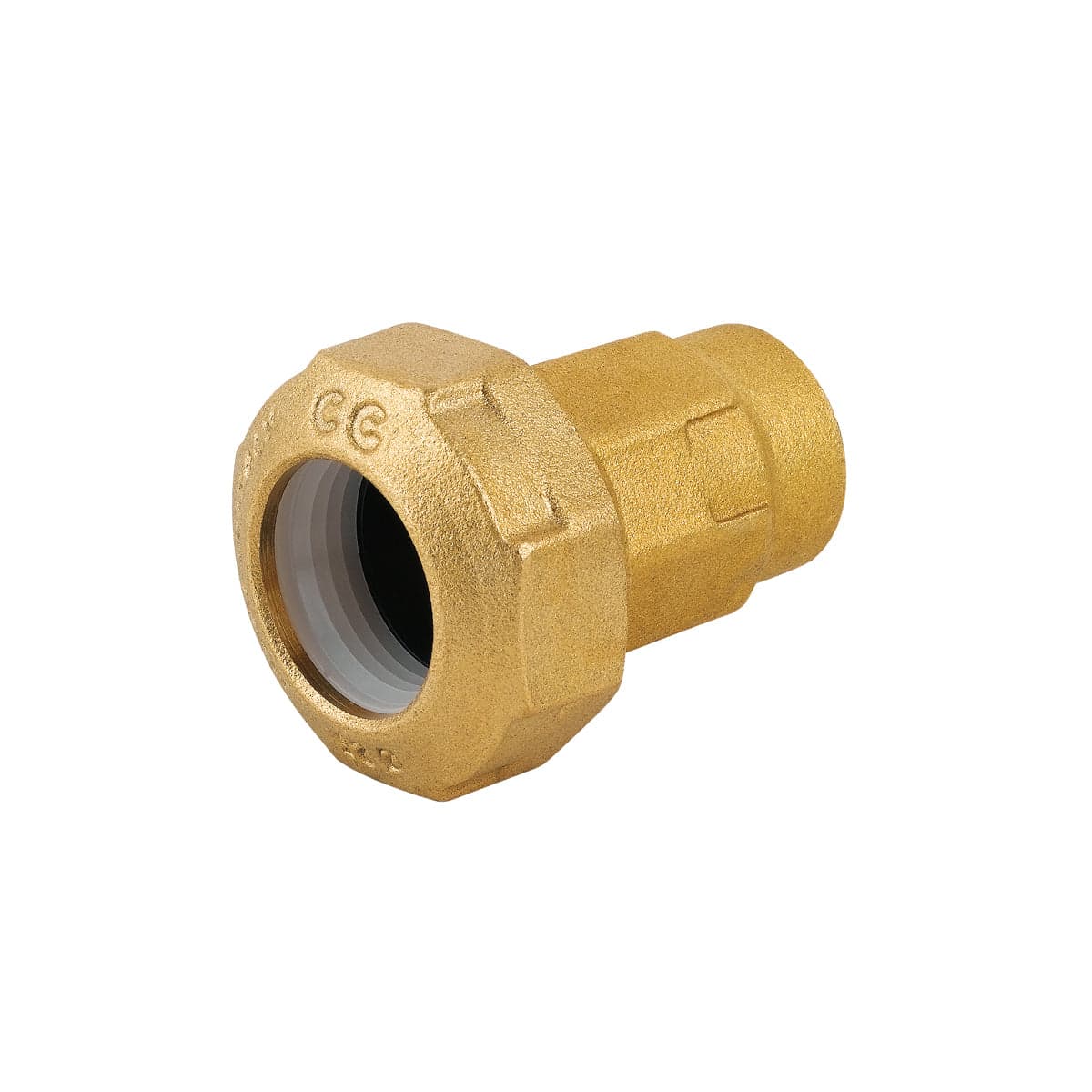Raccordo Femmina Ridotto In Ottone Per Tubo Pe- 1 X 40- Caval- Pezzi 1 in Giunti BricoGo - Marano di Napoli, commercioVirtuoso.it