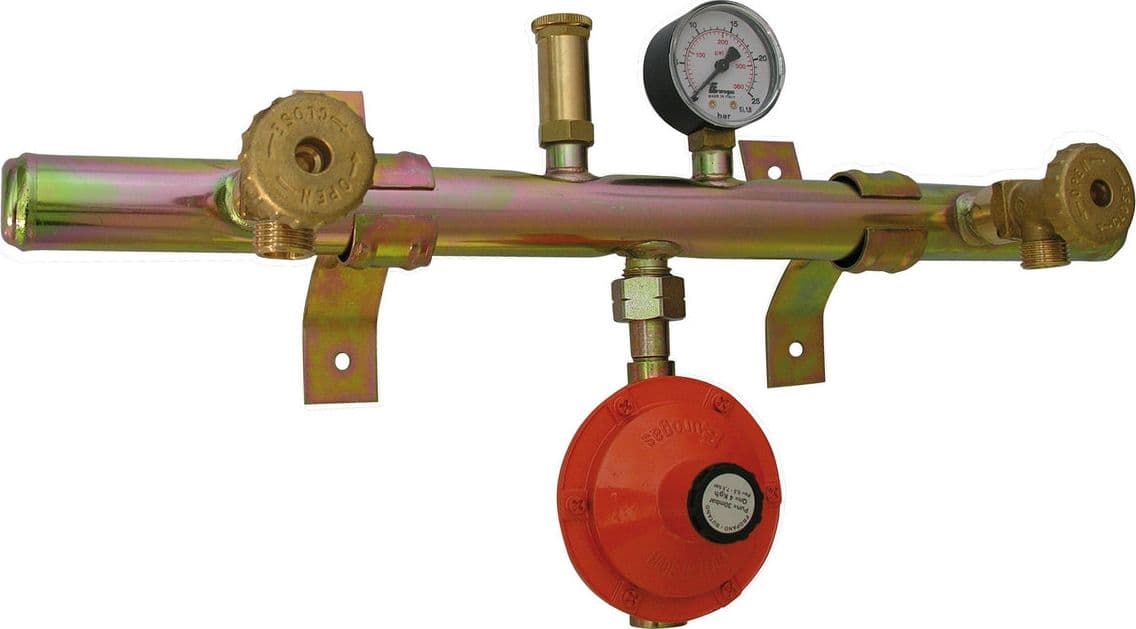 Centralina Gas 2 Elementi Con Attacco Centrale- Kg. / H 4- Senza- Pezzi 1 in Accessori e parti per riscaldamenti BricoGo - Marano di Napoli, commercioVirtuoso.it